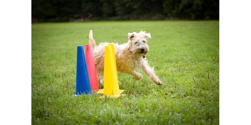 Ostatní výkon 2023