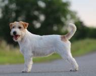 Xena od Bobří řeky