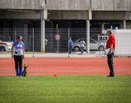 Klub chovatelů teriérů