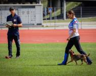 Klub chovatelů teriérů