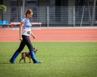 Klub chovatelů teriérů