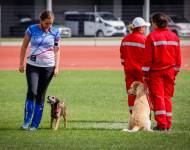 Klub chovatelů teriérů