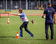 Klub chovatelů teriérů