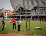 Klub chovatelů teriérů