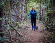 Klub chovatelů teriérů