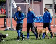 Klub chovatelů teriérů