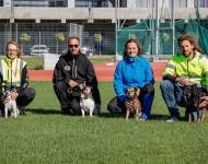 Klub chovatelů teriérů