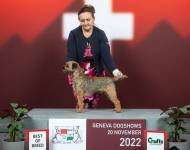 Criss Cross zpod Chlumských hájů