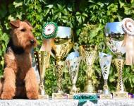 Klub chovatelů teriérů