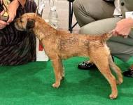 Mellow Marshmallow Kuburumba