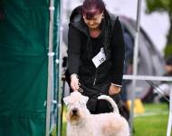 Unesco for Kni-York Gagatek