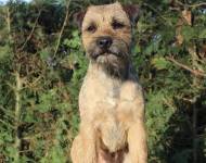 Criss Cross zpod Chlumských hájů