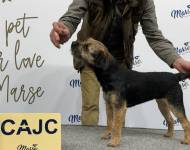 Frencis ze Stružského dvora