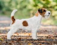 Inlovewith Ride The Lightning