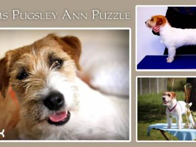 Addams Pugsley Ann Puzzle