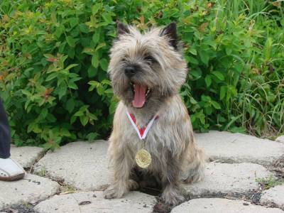 Deianeira Hoity-Toity Gang