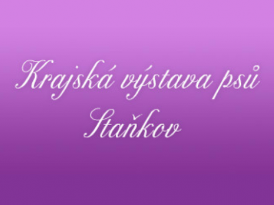 Výstava Staňkov