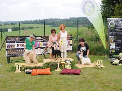 Podmínky pro pořádání výstavy změněny