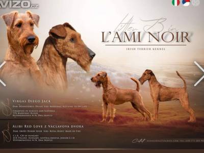 Vrh B L'Ami Noir