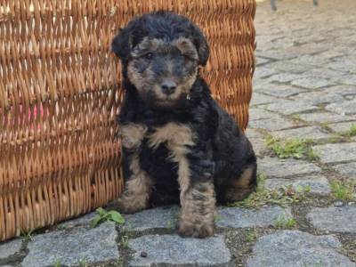 Vrh G Žanetino srdce