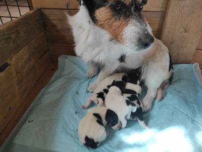 Vrh CH od Vrchu Kamýk