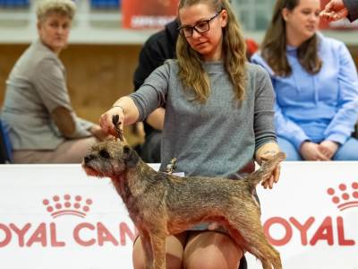 Dellingr zpod Chlumských hájů