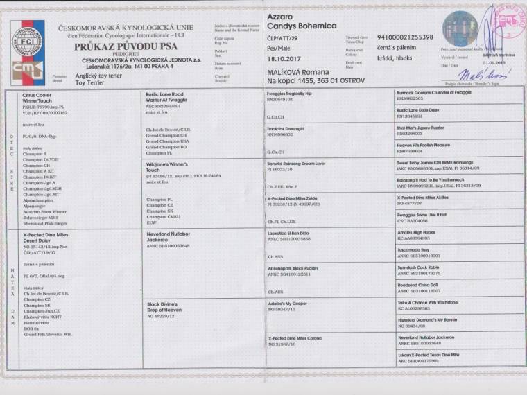 Azzaro Candys Bohemica