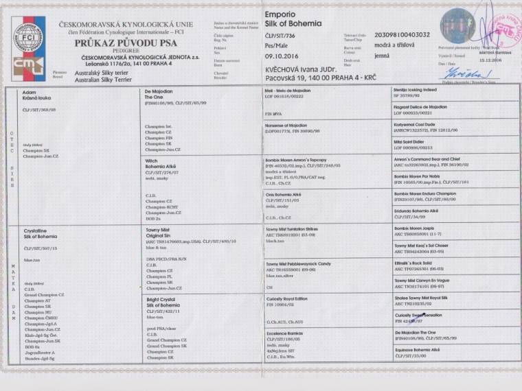 Emporio Silk of Bohemia