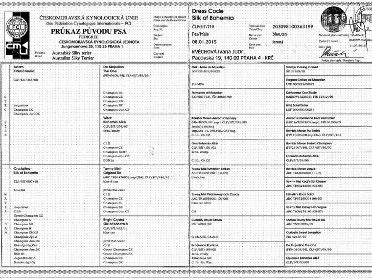 Dress Code Silk of Bohemia