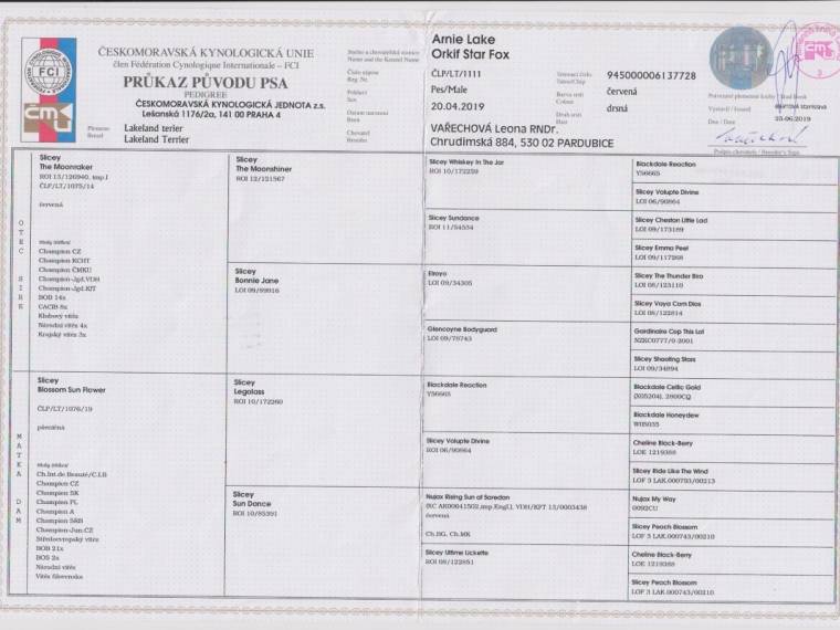 Arnie Lake Orkif Star Fox