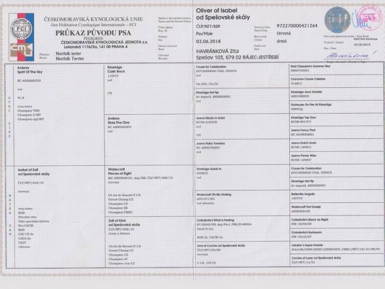 Oliver of Isabel od Spešovské skály