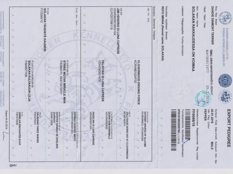 Solakan Rakkaudessa On Voimaa