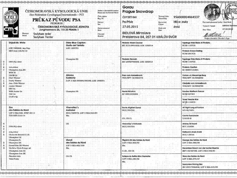 Gorau Prague Snowdrop