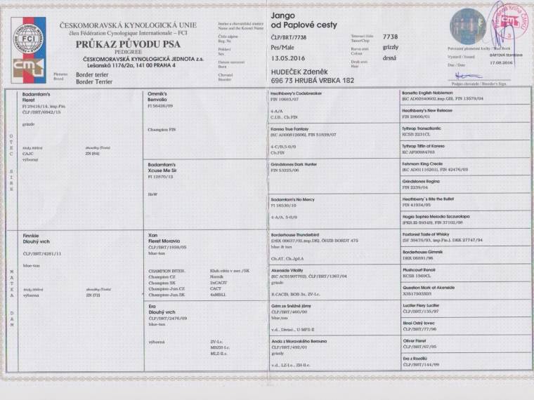 Jango od Paplové cesty