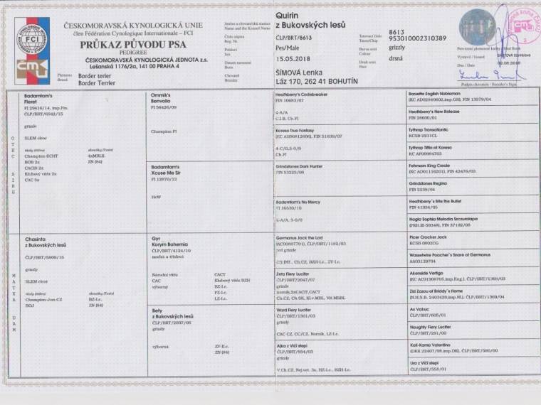 Quirin z Bukovských lesů