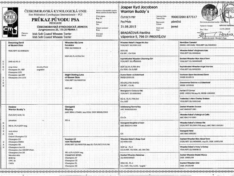 Jasper Kyd Jacobson Wanton Buddy's