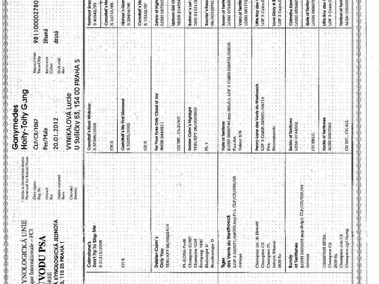 Ganymedes Hoity-Toity Gang