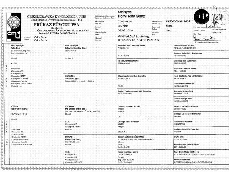 Marsyas Hoity-Toity Gang