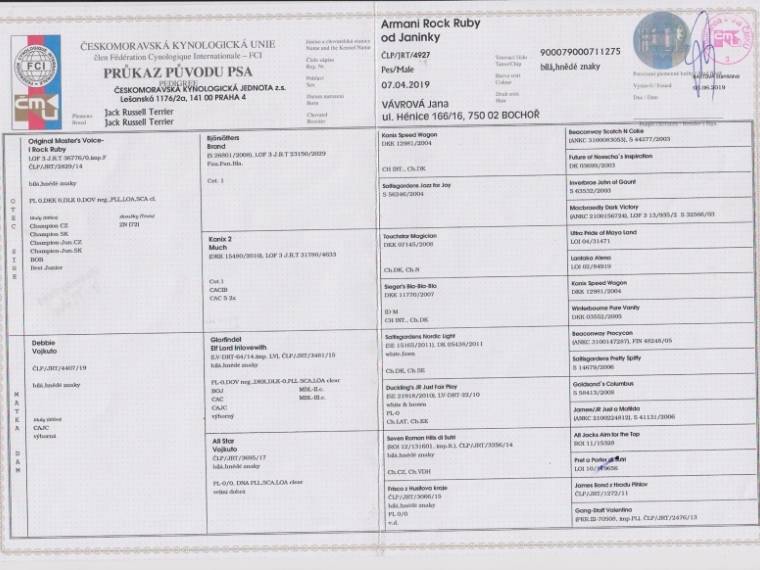 Armani Rock Ruby od Janinky