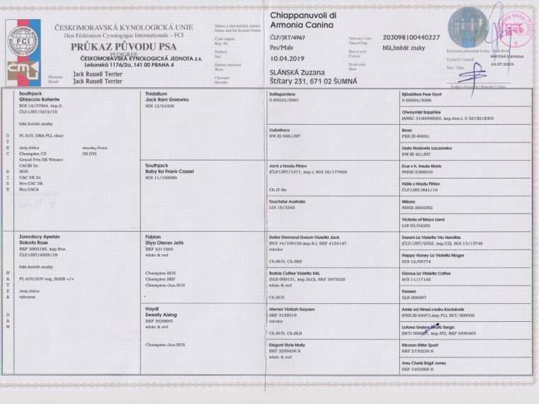 Chiappanuvoli di Armonia Canina