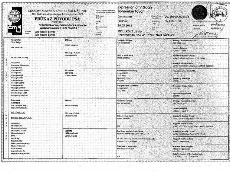 Expression of V. Gogh Bohemian Touch