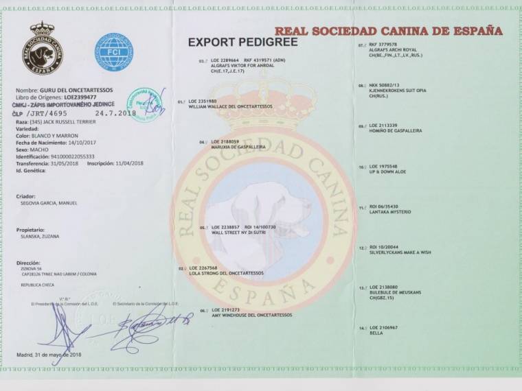 Guru del Oncetartessos