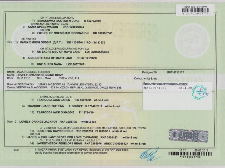 Lovely-Orange Running Rony