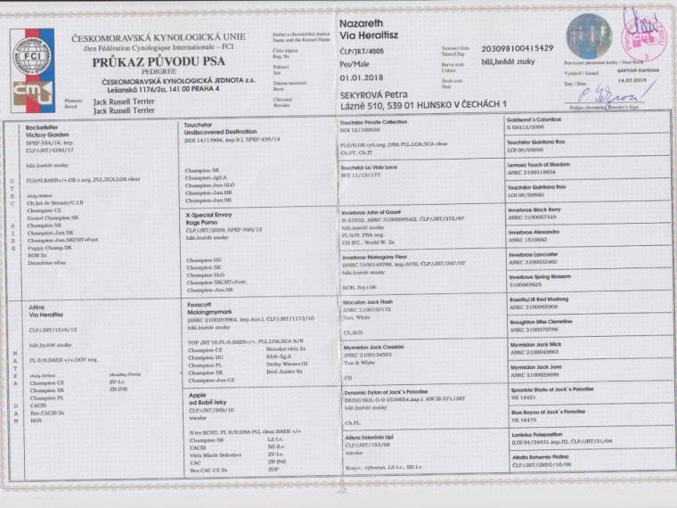 Nazareth Via Heraltisz