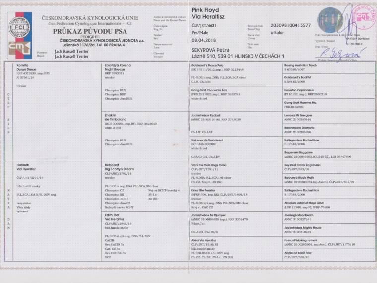 Pink Floyd Via Heraltisz