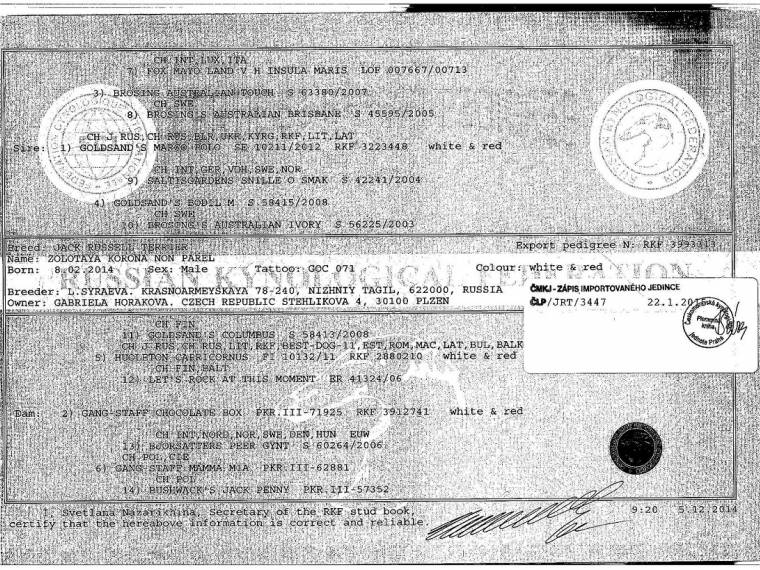 Zolotaya Korona Non Parel