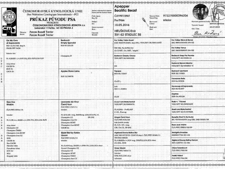 Appeper Beatific Beast