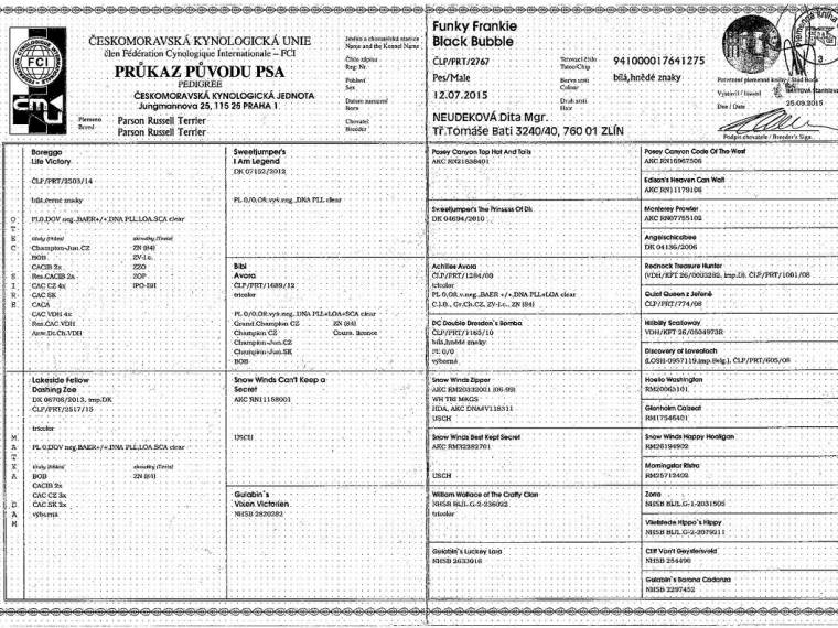 Funky Frankie Black Bubble