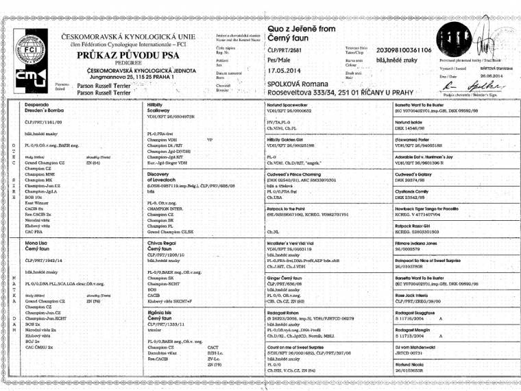 Quo z Jeřeně from Černý faun
