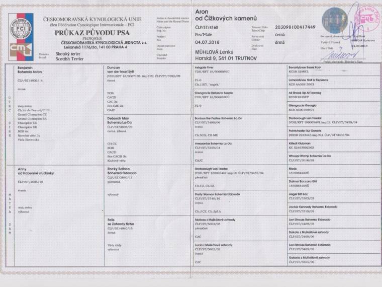 Aron od Čížkových kamenů